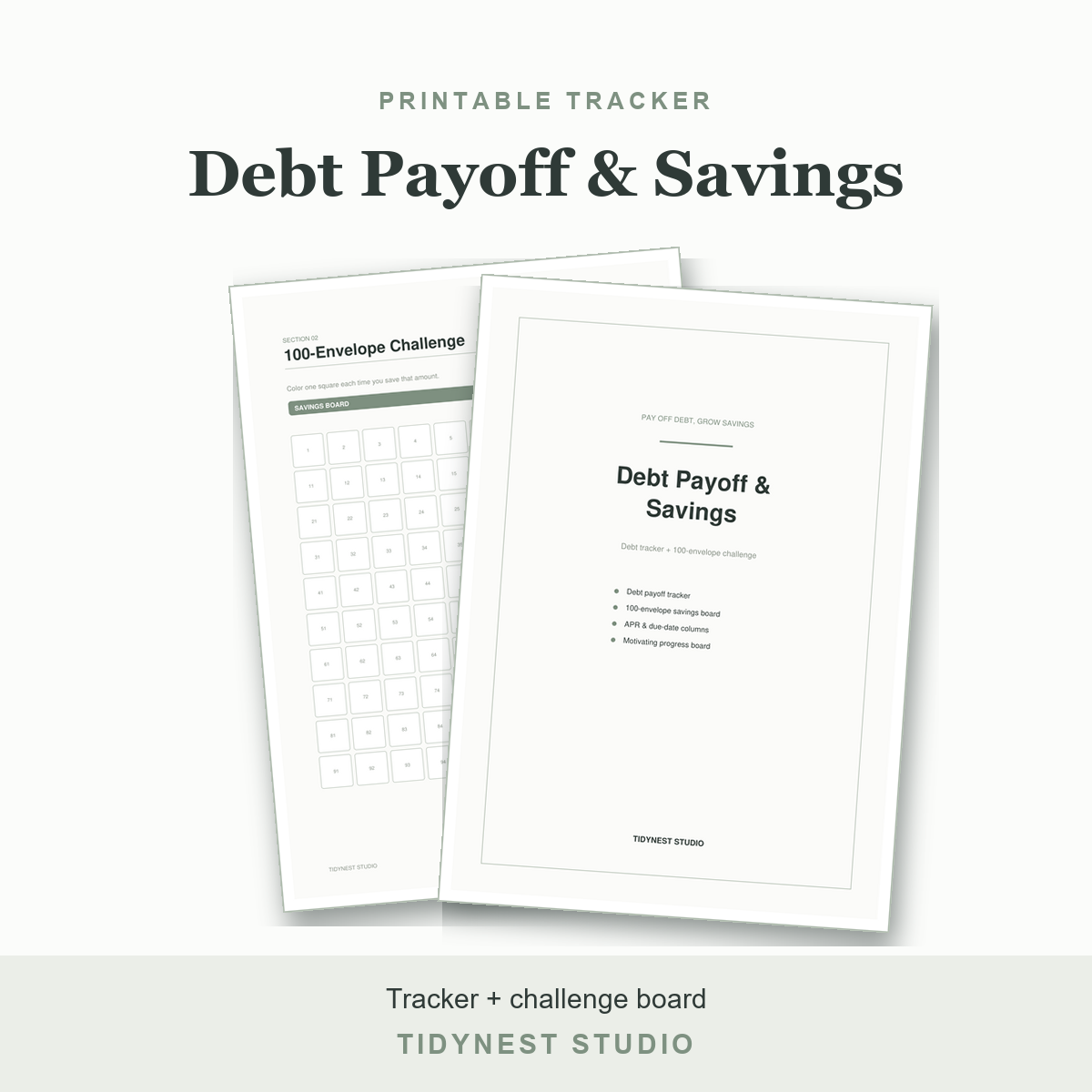 Debt Payoff & Savings Tracker